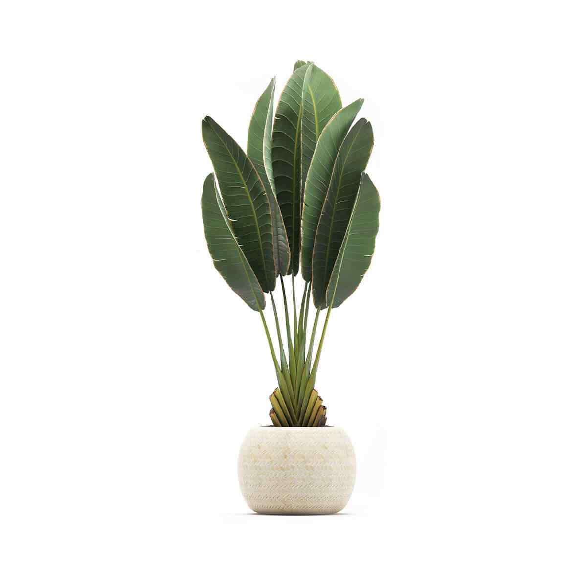 https://jardindeloeste.com/wp-content/uploads/2018/09/product_06.jpg