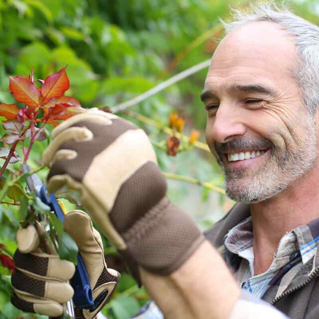 https://jardindeloeste.com/wp-content/uploads/2019/02/team_02-640x640.jpg