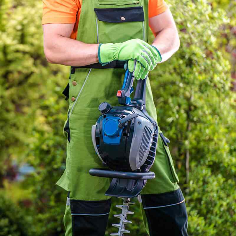 home_4_services https://jardindeloeste.com/wp-content/uploads/2019/08/home_4_services.jpg