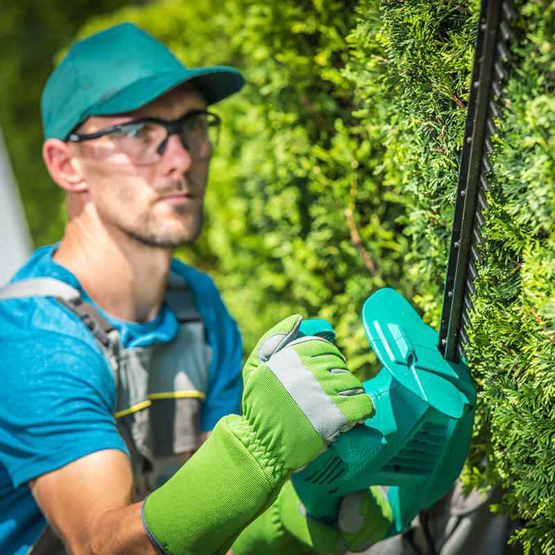 team_05 https://jardindeloeste.com/wp-content/uploads/2019/08/team_05.jpg