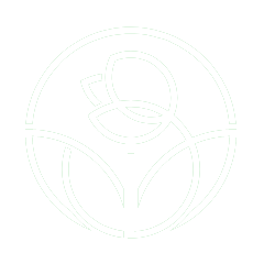 white_rose https://jardindeloeste.com/wp-content/uploads/2019/08/white_rose.png