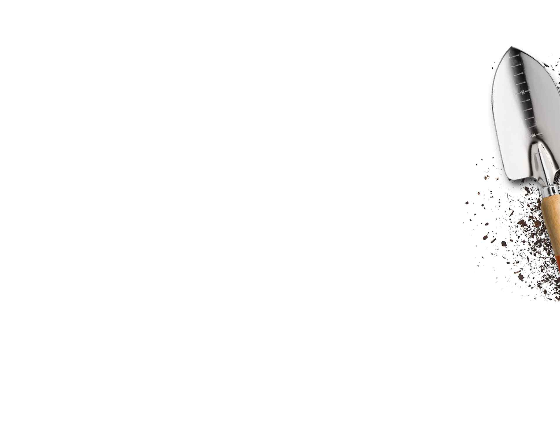 background_single_service https://jardindeloeste.com/wp-content/uploads/2019/10/background_single_service.jpg
