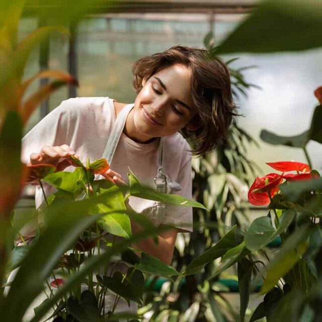 https://jardindeloeste.com/wp-content/uploads/2019/10/team_08-640x640.jpg