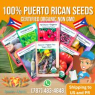 Semillas Desde Mi Huerto