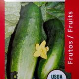 Pepinillo "Gurabo" - Cucumber