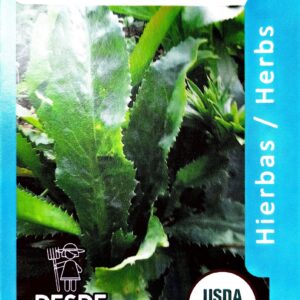 Recao / Long Leaf Coriander