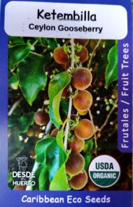 Semillas Desde Mi Huerto - Image 25