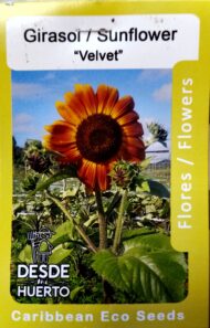 Semillas Desde Mi Huerto - Image 54