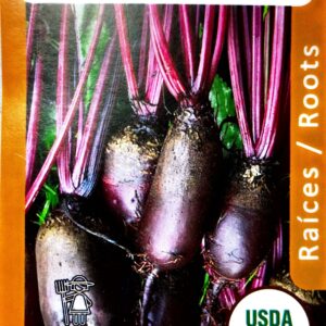 Remolacha / Beet "Cylindra"