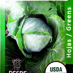 Repollo / Cabbage "Early Jersey"