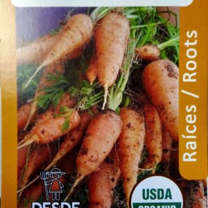 Zanahorias / Carrots "Danvers"